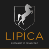 LIPICA OUTDOOR LOW BASE BOOT 1 LIPICA CUSTOM BOOTS