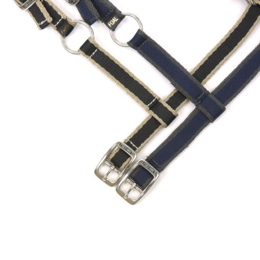 Lami Cell Foal Halter 2