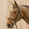 Chestnut