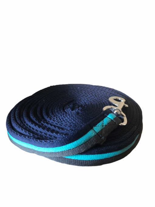 Lunging Equipment