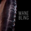 Mane Bling 1 Mane Bling