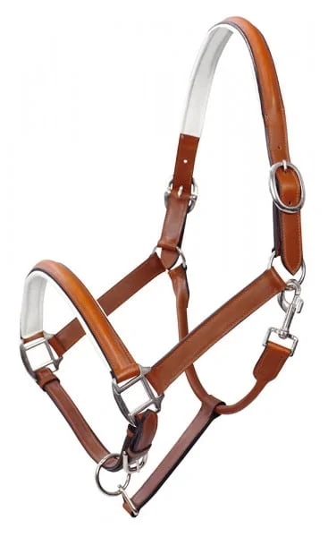 Halters-Leather & Nylon Horse Halters - Horse Halters - The Connected Rider  San Antonio English Tack Store