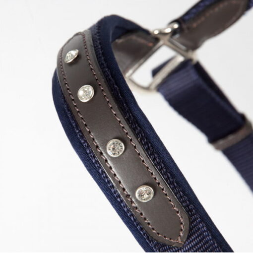 PFIFF Ciara Halter18