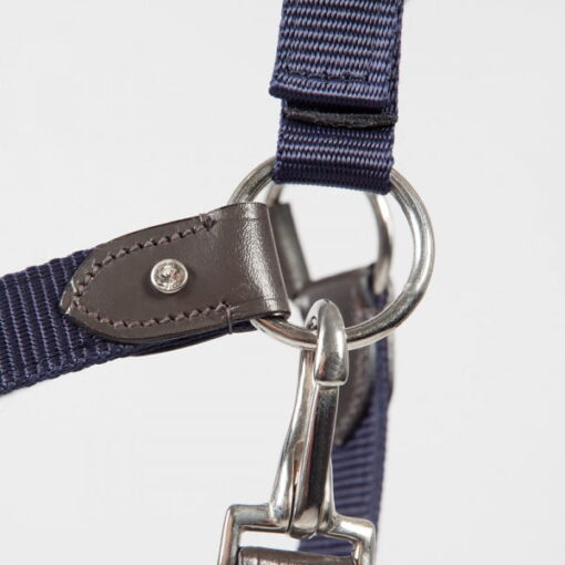 PFIFF Ciara Halter19