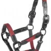 Red/Black