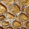 Patent Croco Gold 1 Printed Croco Gold Photoroom