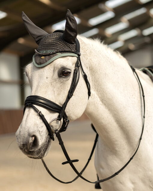 QHP Ear Net Equestrian Dream 2 2