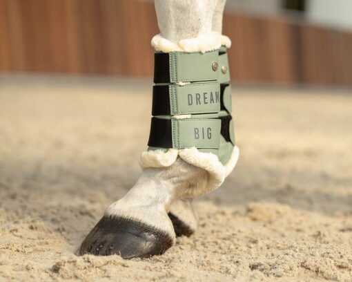 QHP Leg Protection Equestrian Dream 1 3