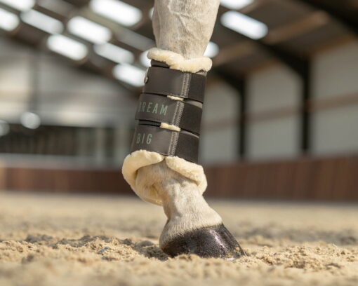 QHP Leg Protection Equestrian Dream 1 4