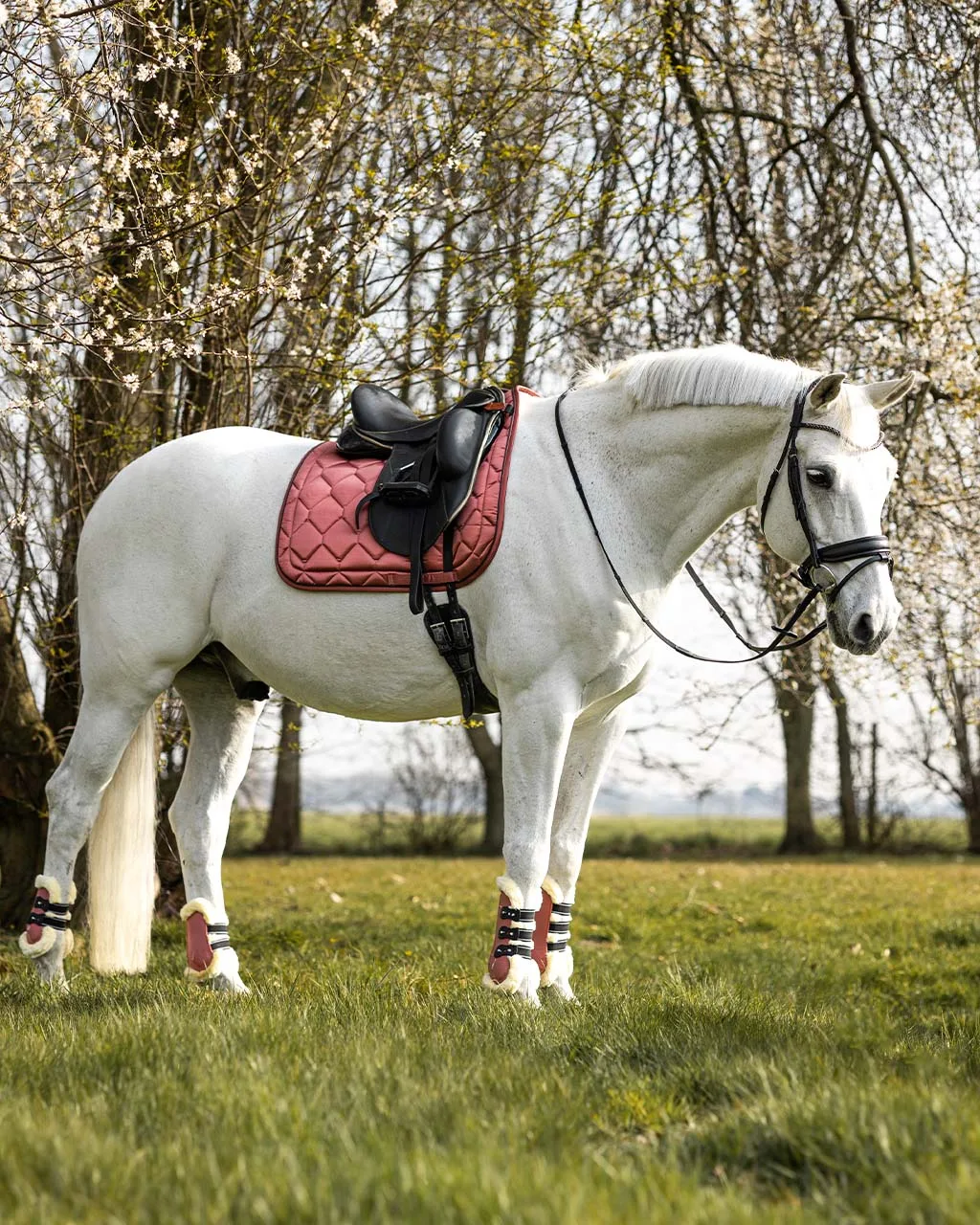 QHP Saddle Pad Classy - Image 2