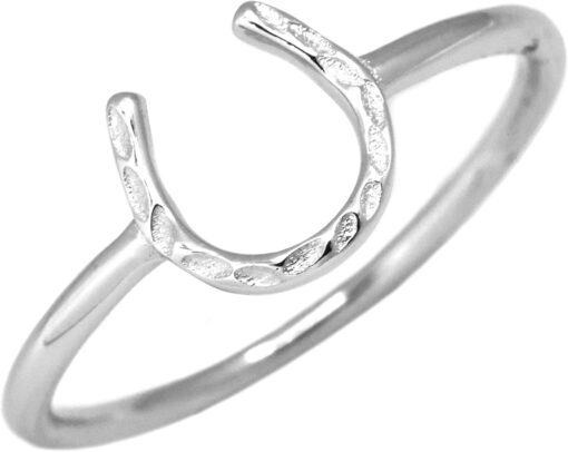 Ritzy EQ Good Luck Horseshoe