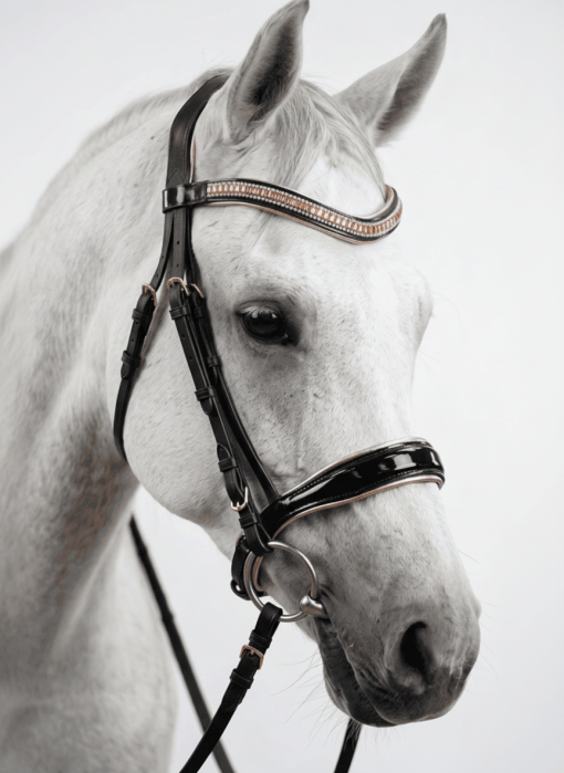 Ritzy EQ Knock Your Socks OFF Bridle No Flash