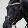 Ritzy Eq Knock Your Socks Off Bridle 2 Ritzy EQ Knocks Your Socks Off LifeStyle 2