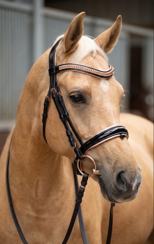 Ritzy EQ Knocks Your Socks Off LifeStyle 5