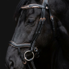 Ritzy EQ Saint Forgives Bridle