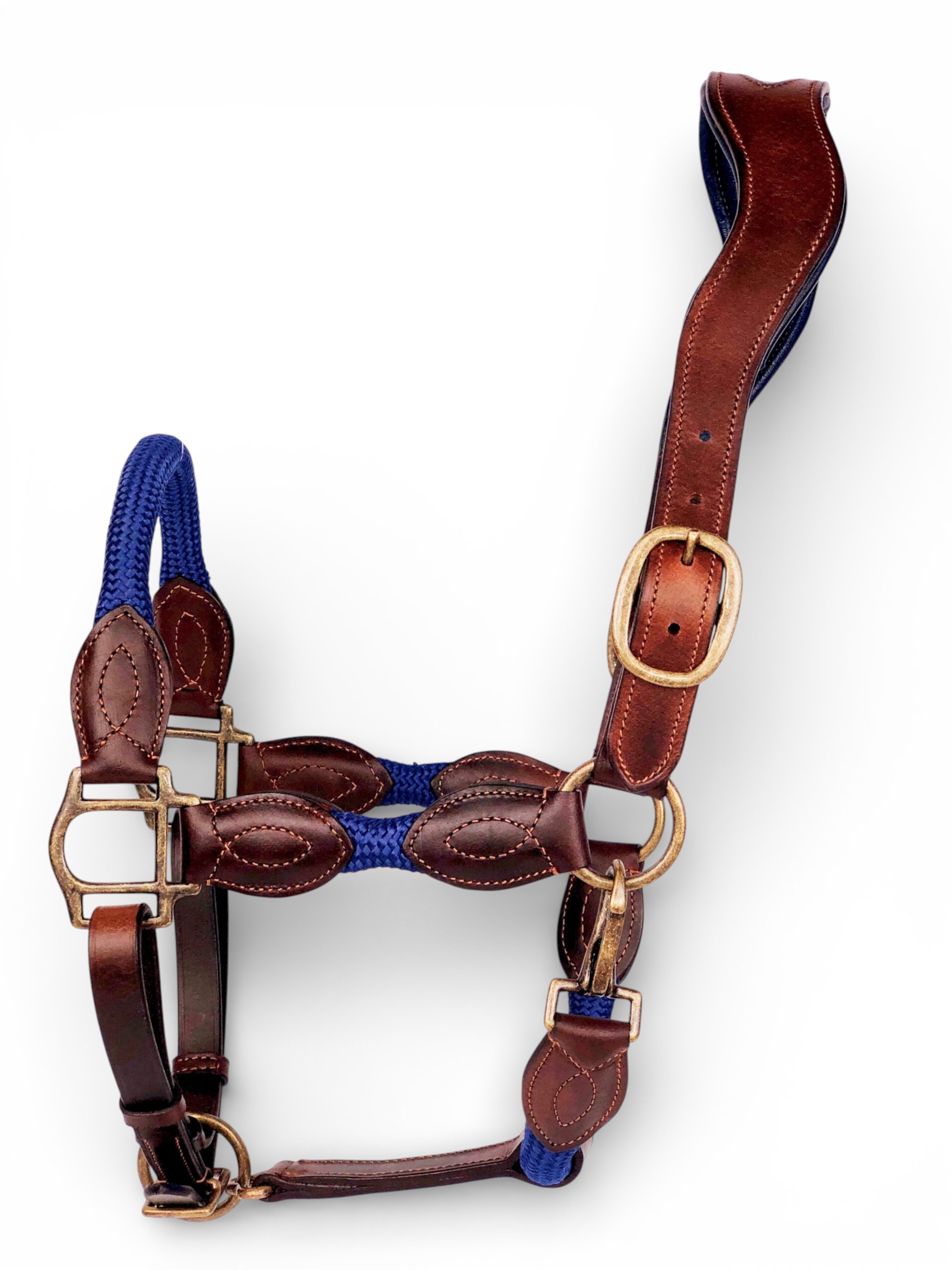 Ritzy EQ Warrior Halter 7 Ritzy EQ Warrior Halter - Image 5