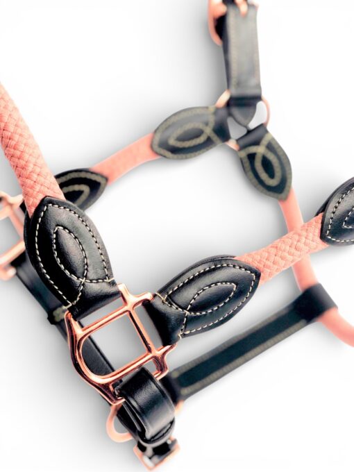Ritzy EQ Warrior Halter 49 Ritzy EQ Warrior Halter - Image 20