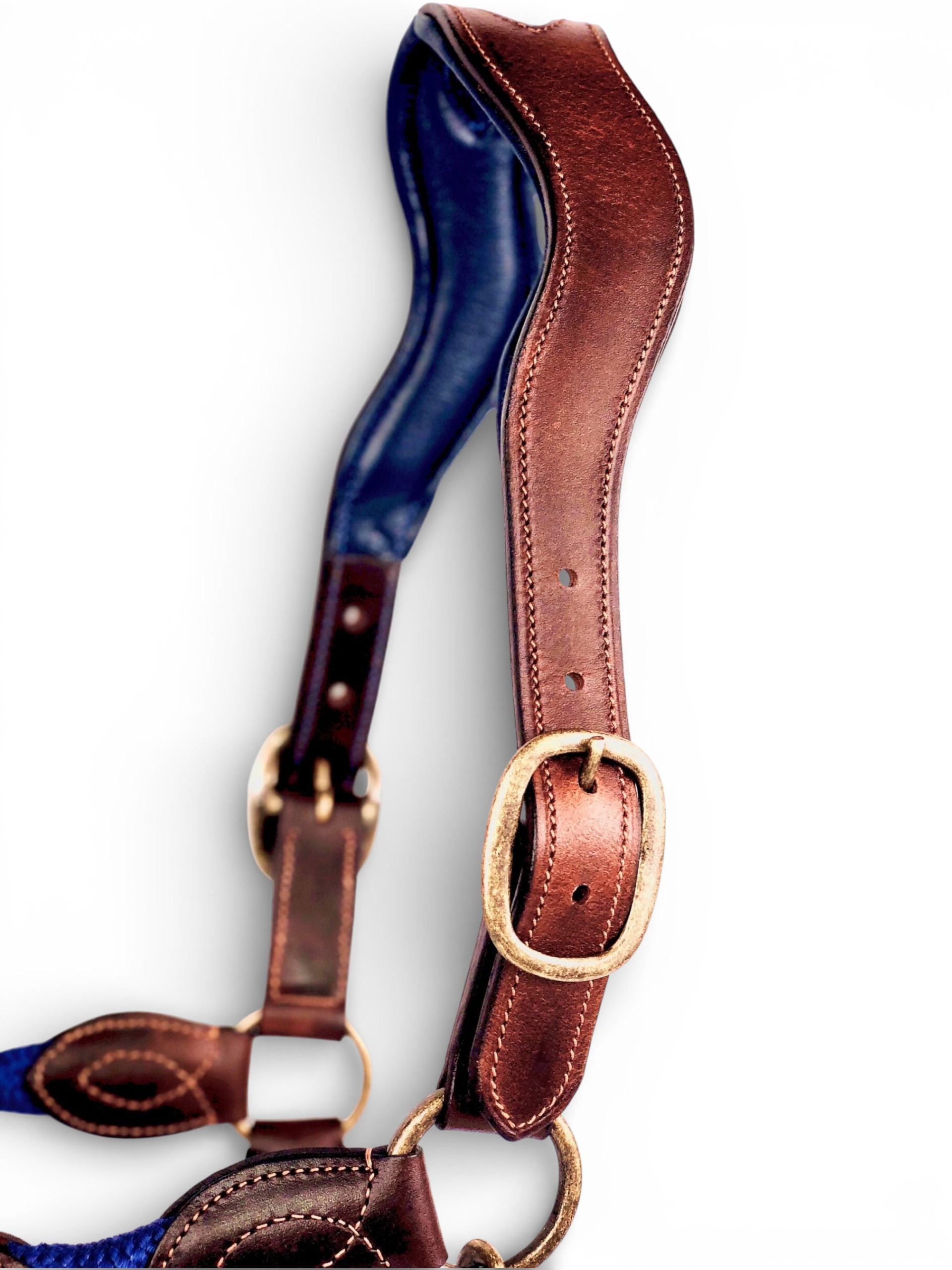 Ritzy EQ Warrior Halter 26 Ritzy EQ Warrior Halter - Image 24