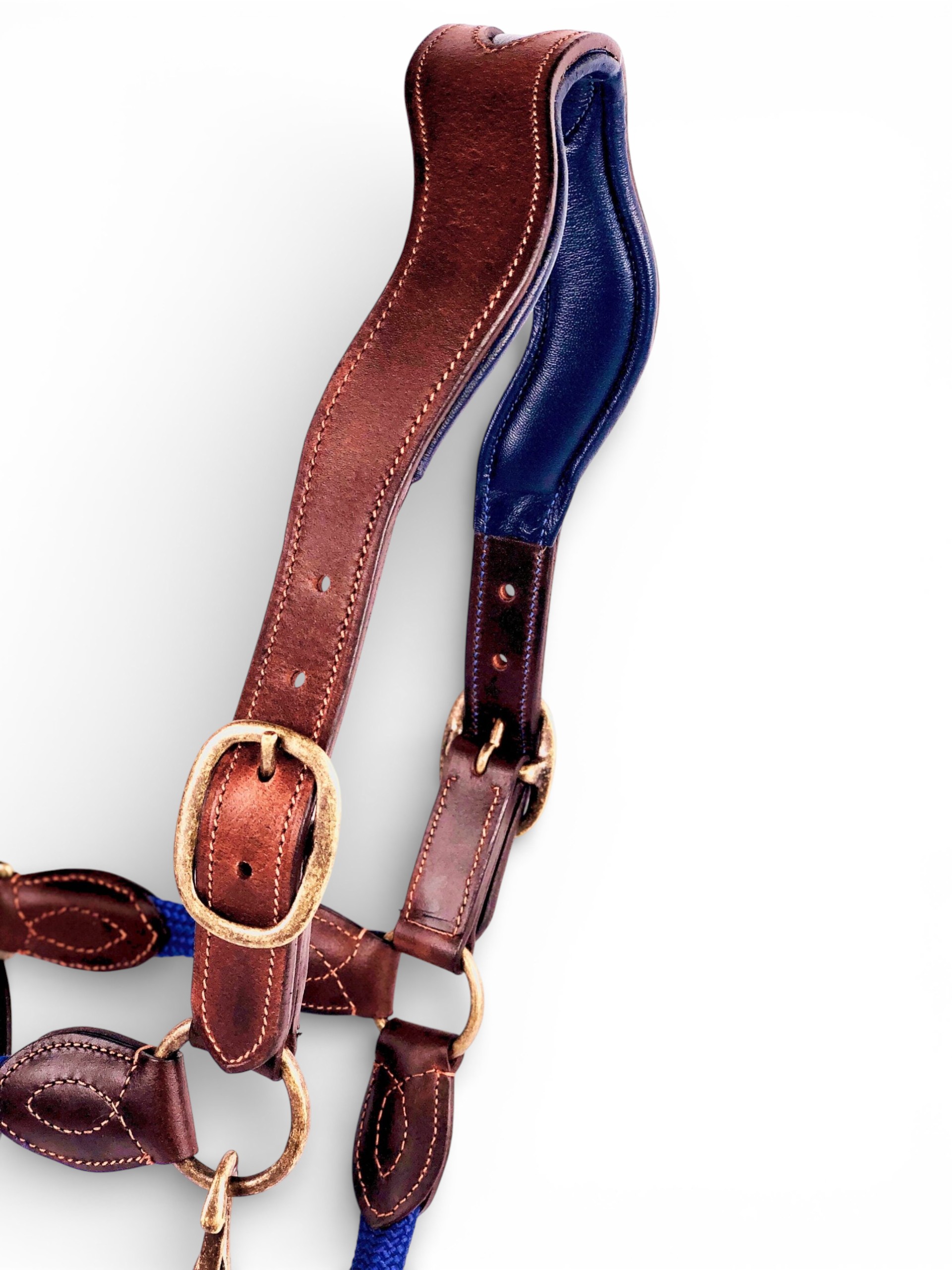 Ritzy EQ Warrior Halter 27 Ritzy EQ Warrior Halter - Image 25