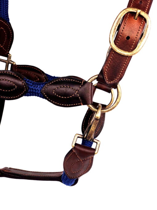 Ritzy EQ Warrior Halter 29 Ritzy Eq Warrior Halter Antique 4 scaled