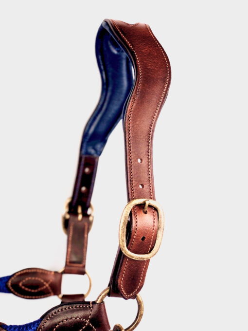 Ritzy EQ Warrior Halter 23 Ritzy Eq Warrior Halter Antique 5 scaled