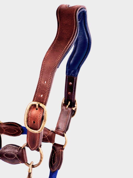 Ritzy EQ Warrior Halter 24 Ritzy Eq Warrior Halter Antique 6 scaled