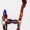 Ritzy EQ Warrior Halter 2 Ritzy Eq Warrior Halter Antique 7 scaled