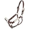 Royal King Berry Edge Congress Show Halter - Weanling 1 Royal King Berry Edge Congress Show Halter - Yearling