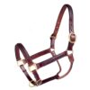Royal King Braided Leather Halter 1 Royal King Braided Leather Halter