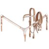 Royal King Futurity Brow Silver Tack Set 1 Royal King Futurity Brow Silver Tack Set