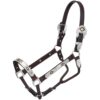 Royal King Gold & Black Silver Show Halter 1 Royal King Gold & Black Silver Show Halter