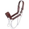 Royal King Leather Mule Halter with Draw Chain 2 Royal King Leather Mule Halter with Draw Chain