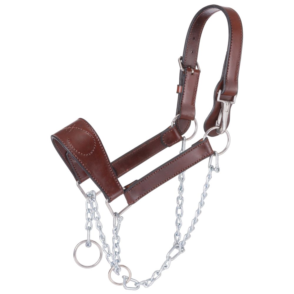 Royal King Leather Mule Halter with Draw Chain - The Connected Rider ...