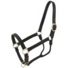 Royal King Leather Stable Halter