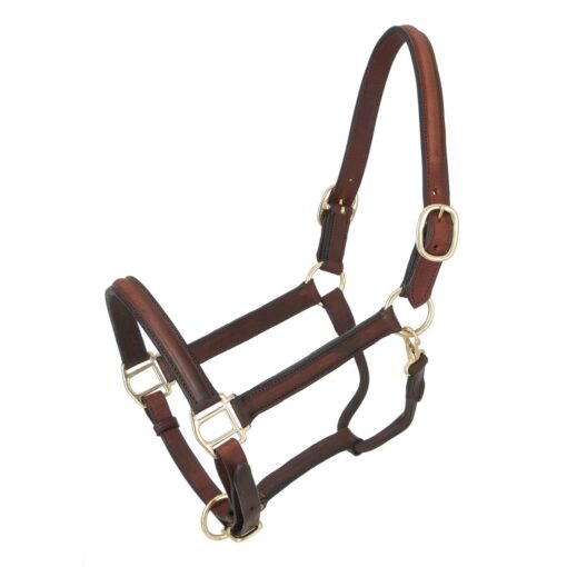 Royal King Raised Leather Halter