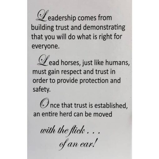 Saddle Stirrup Y Necklace Jewelry6