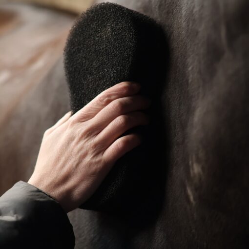 Shine Scrubber sponge 2