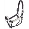 Silver Royal Silver Scroll Show Halter