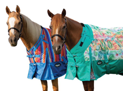 Blanket & Sheet Sale