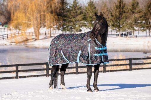 Tough1 1200D Nashville Nights Turnout Blanket with Snuggit 30 Tough 1 Nashville Nights Blanket