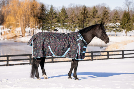 Tough1 1200D Nashville Nights Turnout Blanket with Snuggit 29 Tough 1 Nashville Nights Blanket