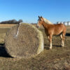 Tough1 6x6 Twisted Cord Round Bale Hay Net