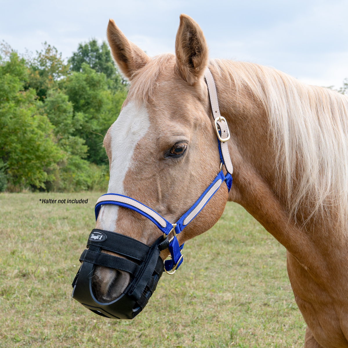 Tough1 Easy Breathe Grazing Muzzle Attachment 4 Tough1 Easy Breathe Grazing Muzzle Attachment - Image 2