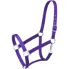 Tough1 Economy Yearling Halter