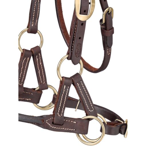 Tough1 Harness Leather Rolled Side Pull 2