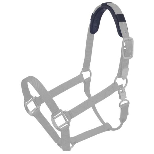 Tough1 Magnetic Crown Piece 5 Tough1 Magnetic Crown Piece 1