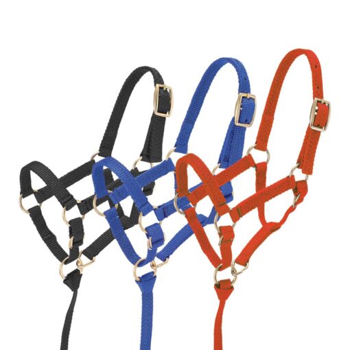 Tough1 Miniature Nylon Halter - 12 Pack