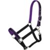 Tough1 Neoprene Padded Nylon Halter 2 Tough1 Neoprene Padded Nylon Halter