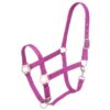 Tough1 Nylon Horse Halter with Satin Hardware