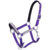 Tough1 Nylon Miniature Halter with Crystals